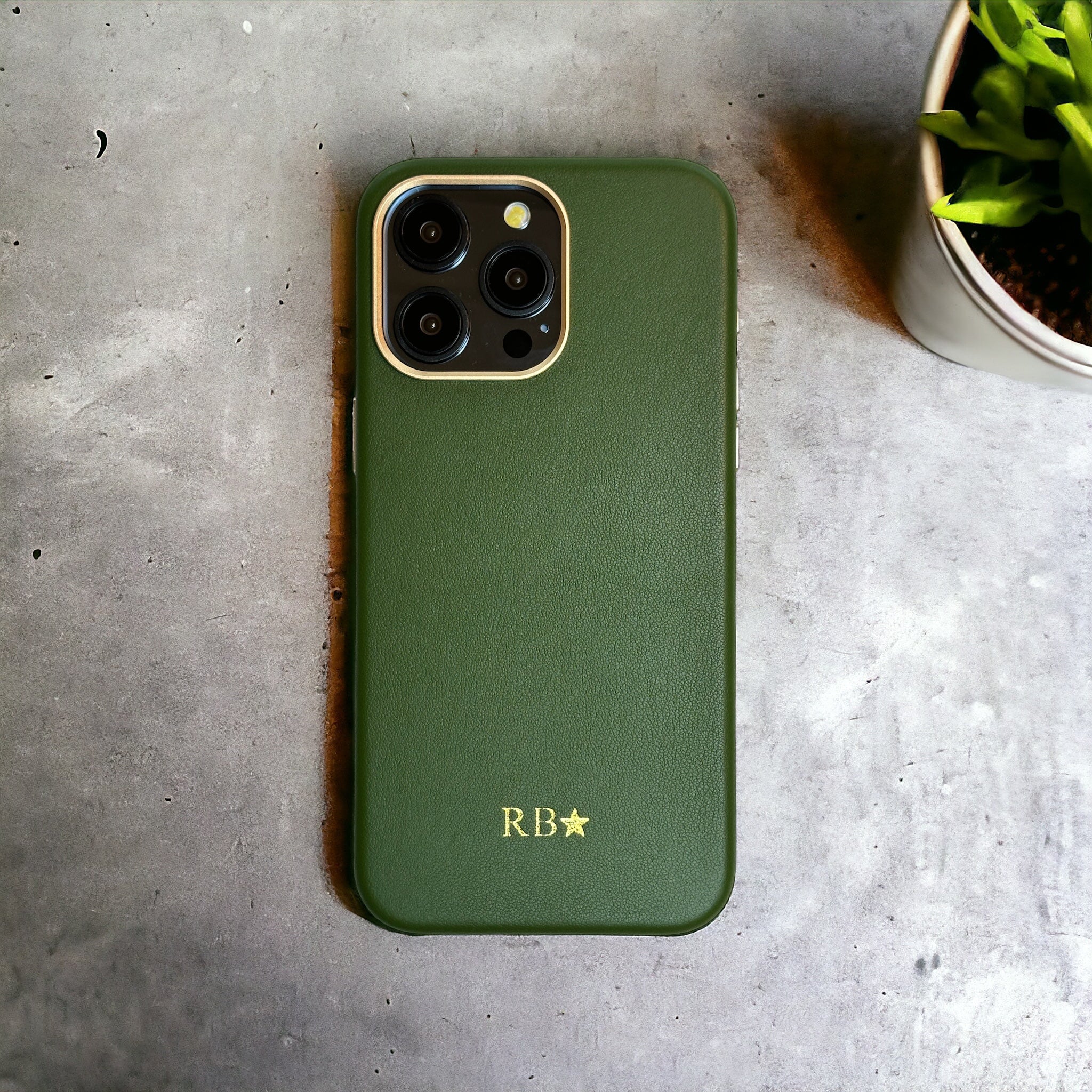 #color_olive green
